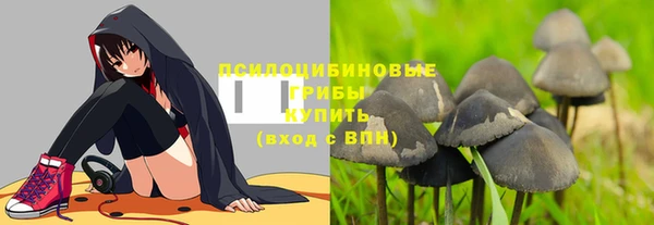 MDMA Каменка