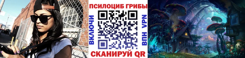 Купить  Юрьевец  Галлюциногенные грибы ЛСД 
